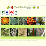 Plant Identification - worldwide icon