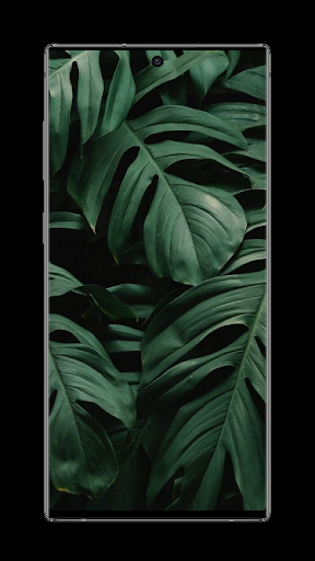 Green Aesthetic Wallpaper