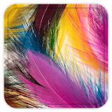 Feather Live Wallpaper icon