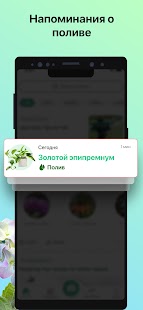 PictureThis растения признать Screenshot
