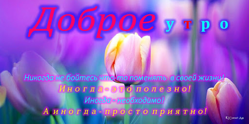 Android application Morning Afternoon Night Ru screenshort