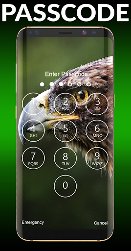 Eagle Lock Screen & Wallpapers Screen 3