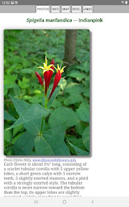 Screenshot 12 Tennessee Wildflowers android