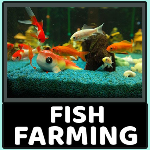 Aquarium fish farming  Icon