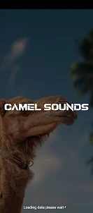 camel sounds