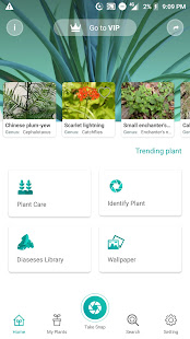 PlantSpot - Plant identifier