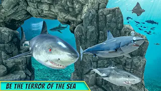Big Shark Vs Small Sharks - Screenshot 1