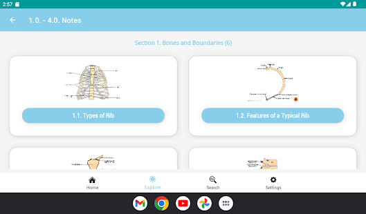 The Goofy Anatomist Screenshot