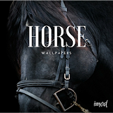 Horse Wallpapers And Backgrounds icon