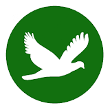 Bird Jar: Birding Checklist icon