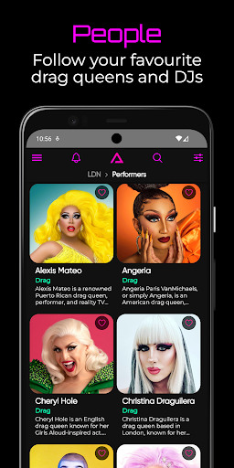 The Gay Agenda Screen 3