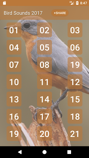 Bird Sounds and Ringtones 2.2 screenshots 1