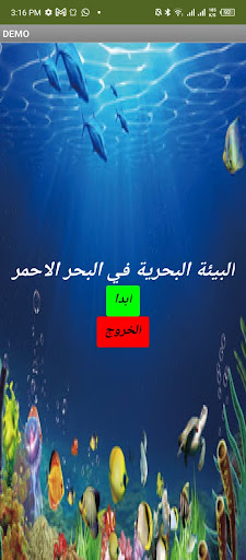 The RedSea Screen 2