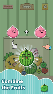 Fruit Merge Mania 2