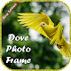 Dove Photo Frame / Dove Photo Editor Descarga en Windows