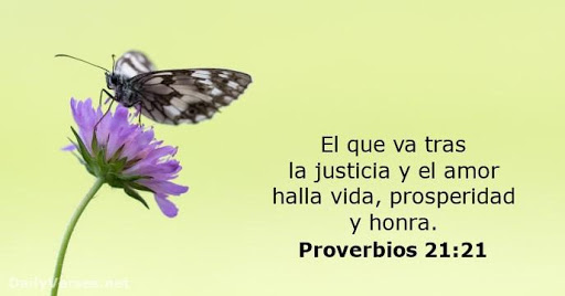 Android application proverbios de la biblia screenshort