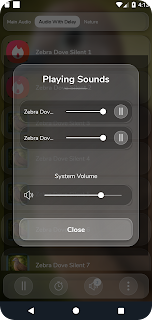 Zebra Dove Sounds