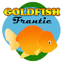 Goldfish Frantic