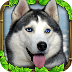 Cover Image of डाउनलोड Stray Dog Simulator  APK