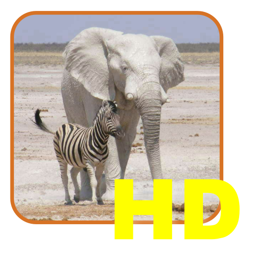 Safari List HD - South Africa 1.00.00 Icon