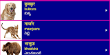 screenshot of Learn Sanskrit From Telugu