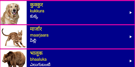 Screenshot image