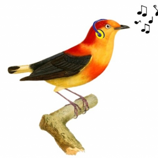 Uirapuru FM logo
