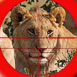 Lion Expert Hunter 3D icon