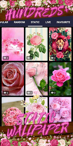 pink rose wallpaper Screenshot 4 - AppWisp.com