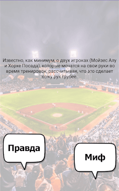 Бейсбол викторина - Screenshot 2