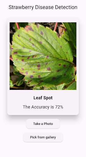 Strawberry Disease Detection