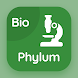 Phylum Quiz - Androidアプリ