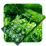 Rainy Grass Green Fresh icon