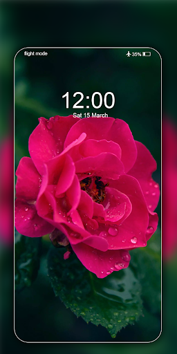 Download Rose Wallpaper HD Flower Image Free for Android - Rose Wallpaper  HD Flower Image APK Download 