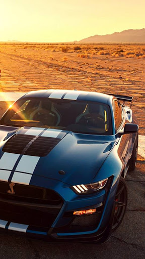 Mustang Shelby GT500 Wallpaper