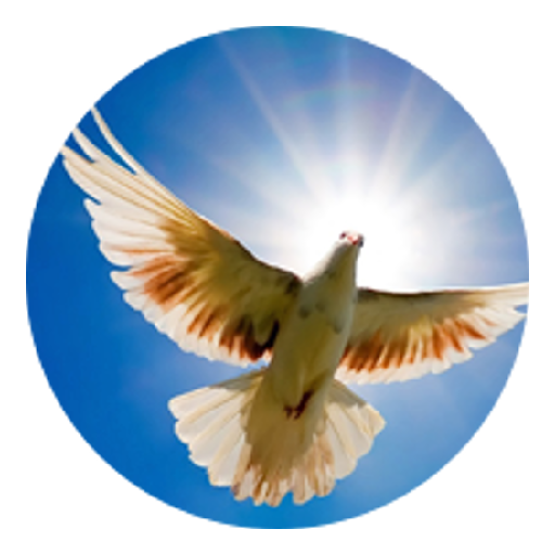Radio Jesús es el Señor logo