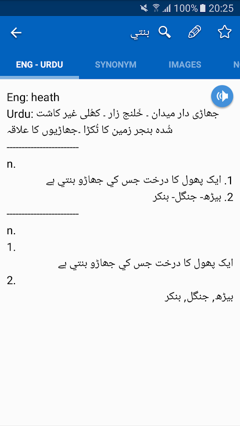 Urdu Dictionary Offlineのおすすめ画像4