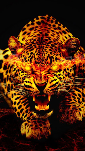 Android application Tiger and Lion Wallpapers screenshort