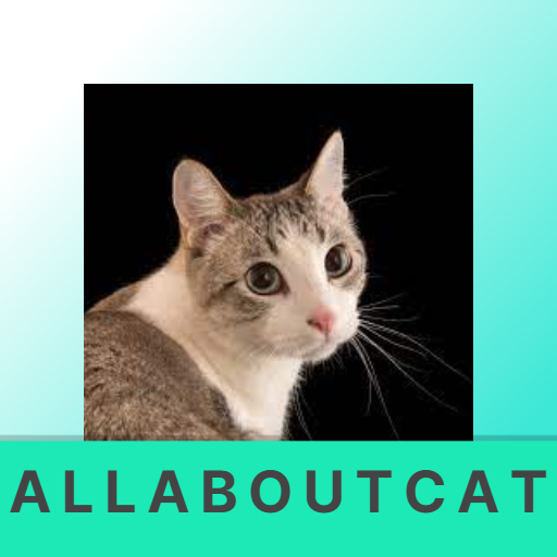 all about cat Download on Windows