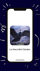 Radio La Hora del Condor