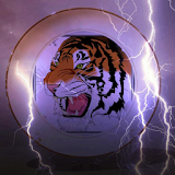 Tiger Browser 4G icon