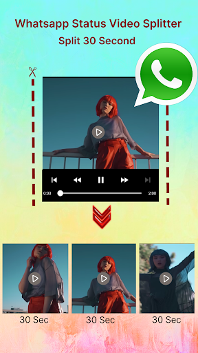 VRIP - Status Video Splitter