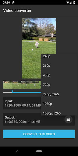 Video Converter Demo Screen 2