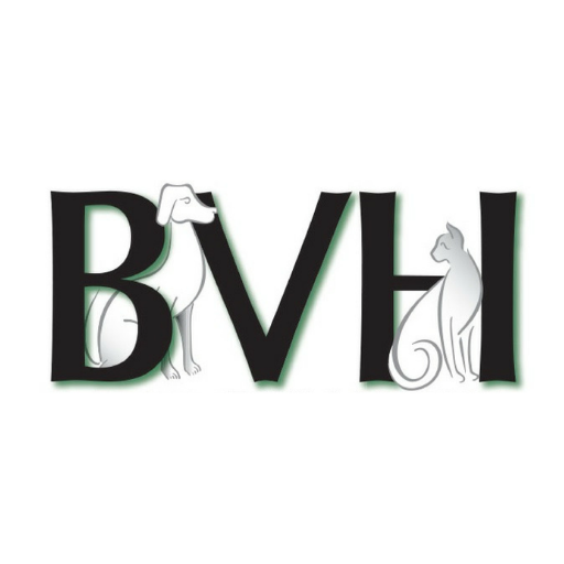 Bridgewater Vet Hospital logo