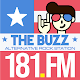 181.FM Buzz Alternative Rock Scarica su Windows