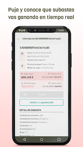 Mercopig Screen 2