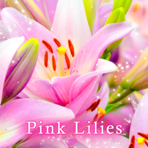 Pink Lilies Theme logo