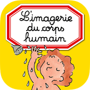 Imagerie du corps humain interactive