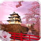 Sakura HD Live Wallpaper icon