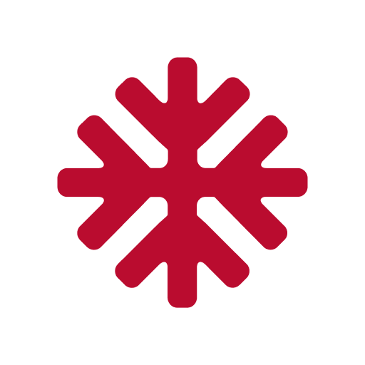 SkiStar  Icon